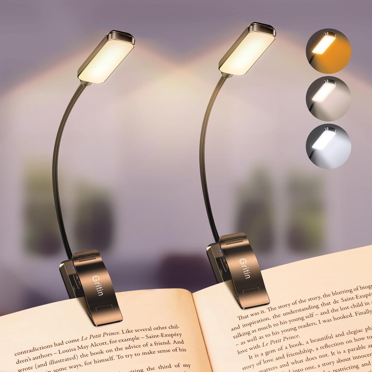 Gritin 9-LED Rechargeable Book Light