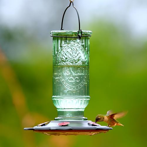 More Birds Vintage Glass Hummingbird Feeder