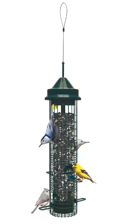 Squirrel Buster Classic Feeder