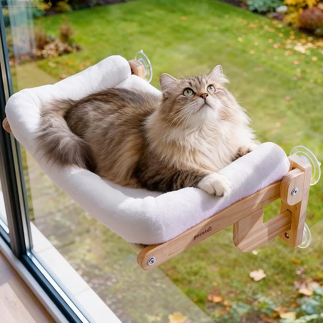 Pecute Window Cat Hammock