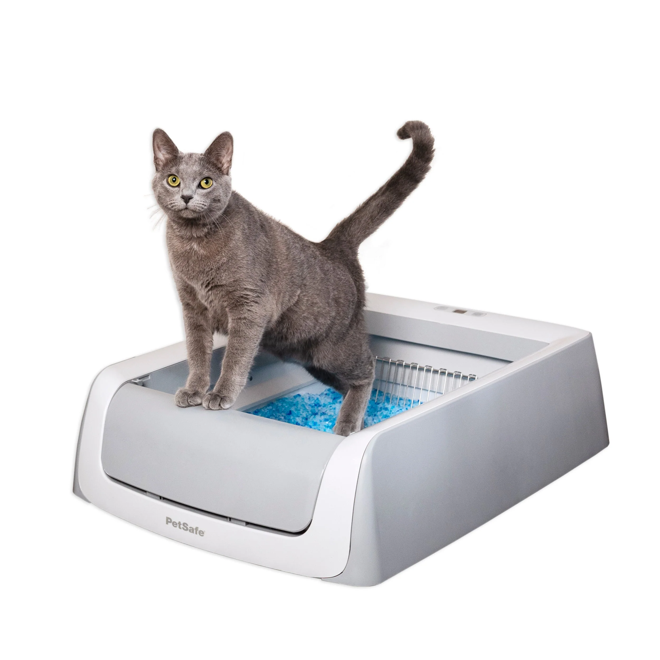 PetSafe ScoopFree Complete Plus Self-Cleaning Litter Box