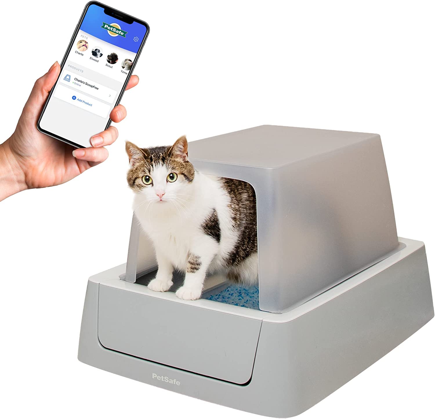 PetSafe ScoopFree Complete Self-Cleaning Litter Box