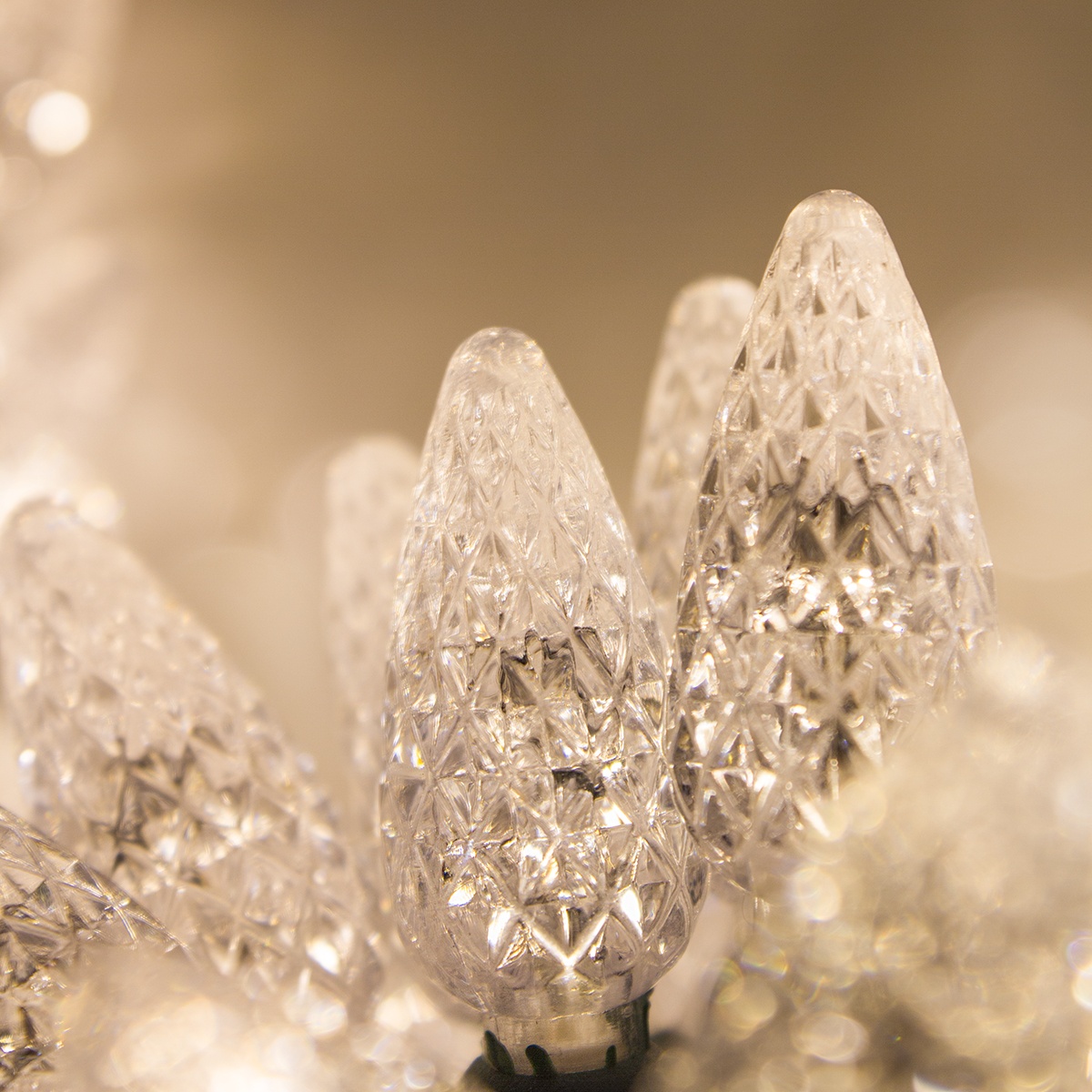 C6 Warm White LED Christmas String Lights by Wintergreen Lighting (Christmas Lights Etc)