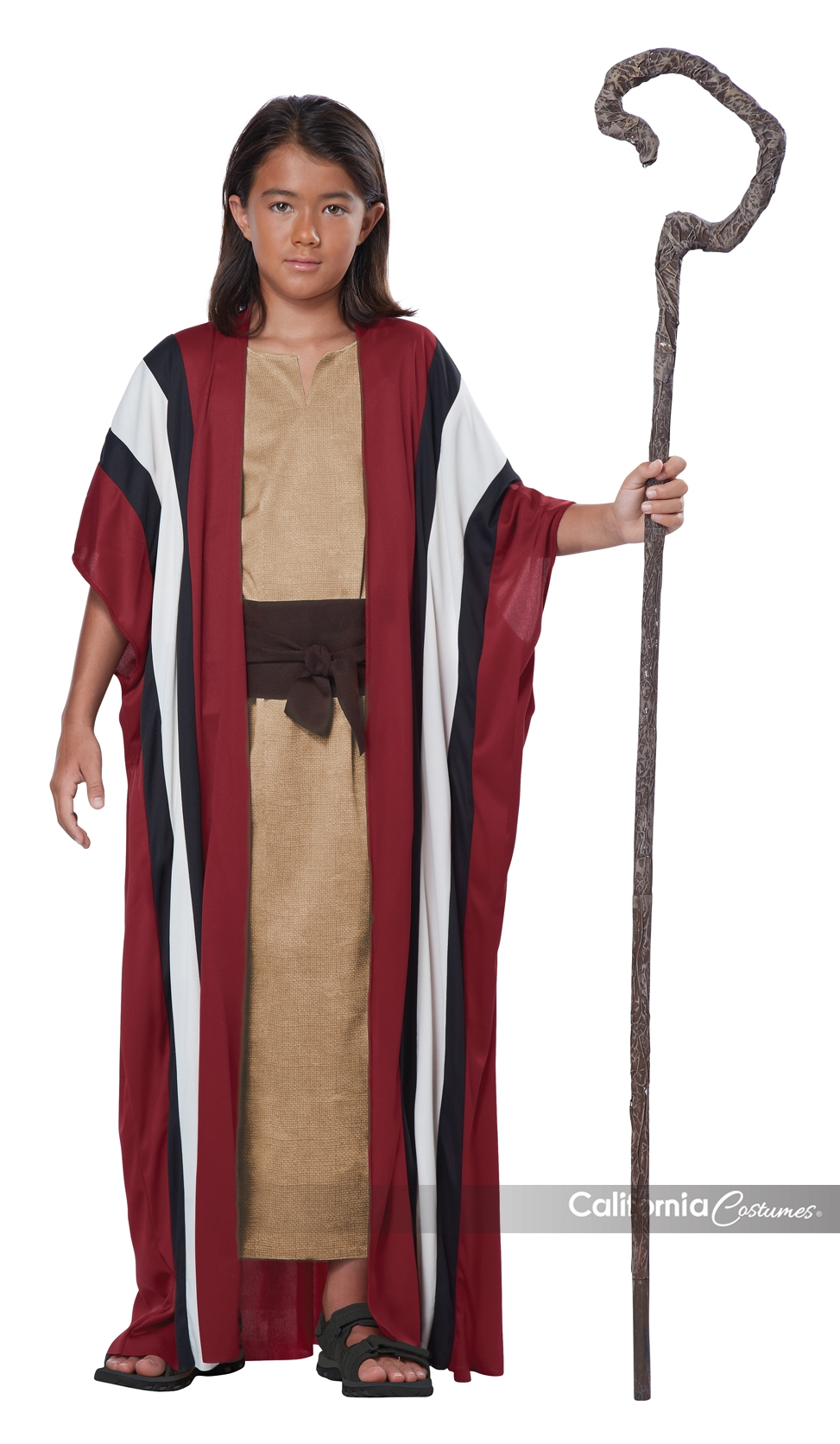 David the Shepherd Costume