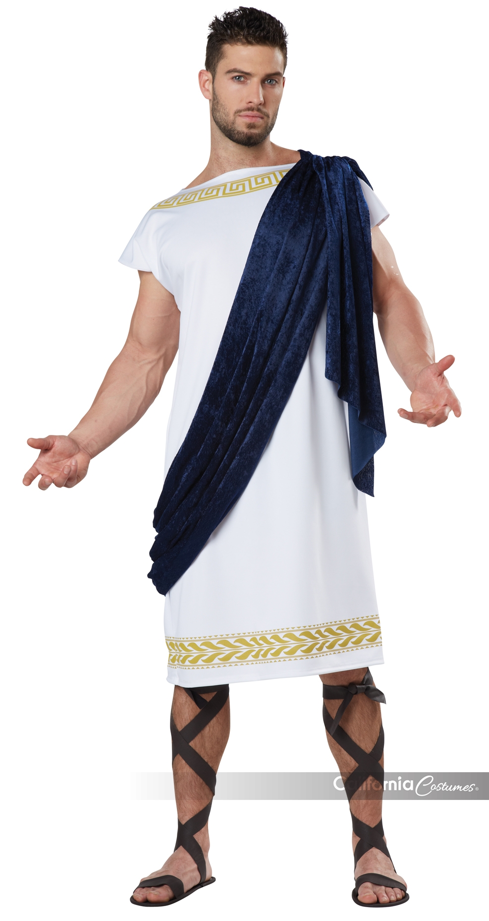 Grecian Toga Costume (Adult)