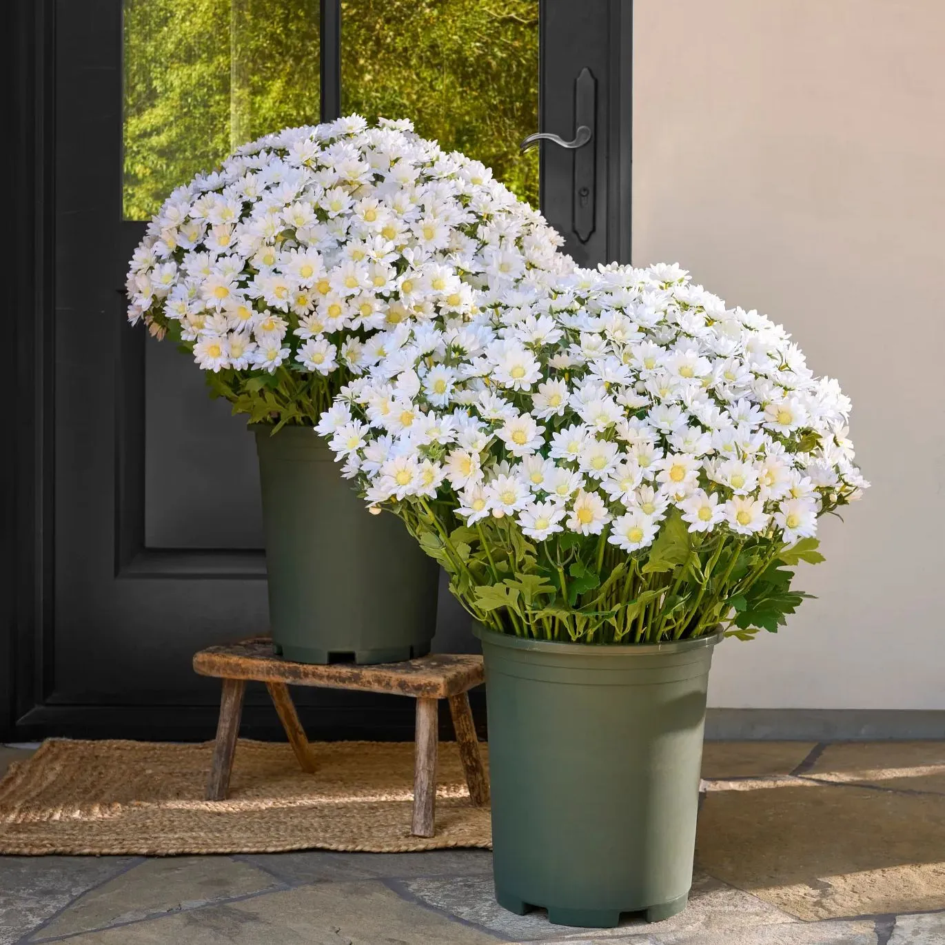 DearHouse Artificial Mum Plants (2 Pack)