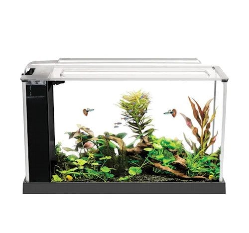Fluval Spec V Aquarium Kit 5 Gallon