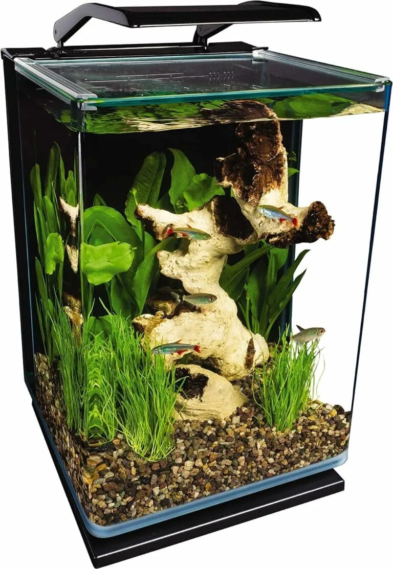 Marineland Portrait Glass LED Aquarium Kit 5 Gallon