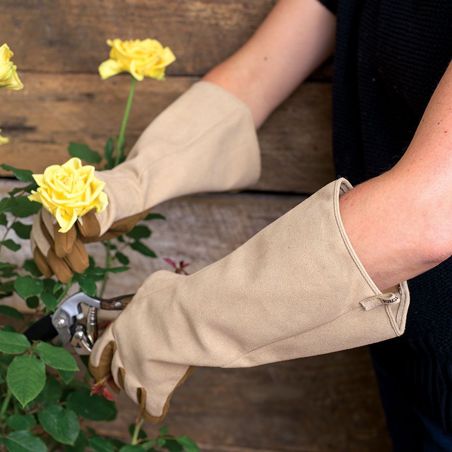 Exemplary Gardens Rose Pruning Gloves