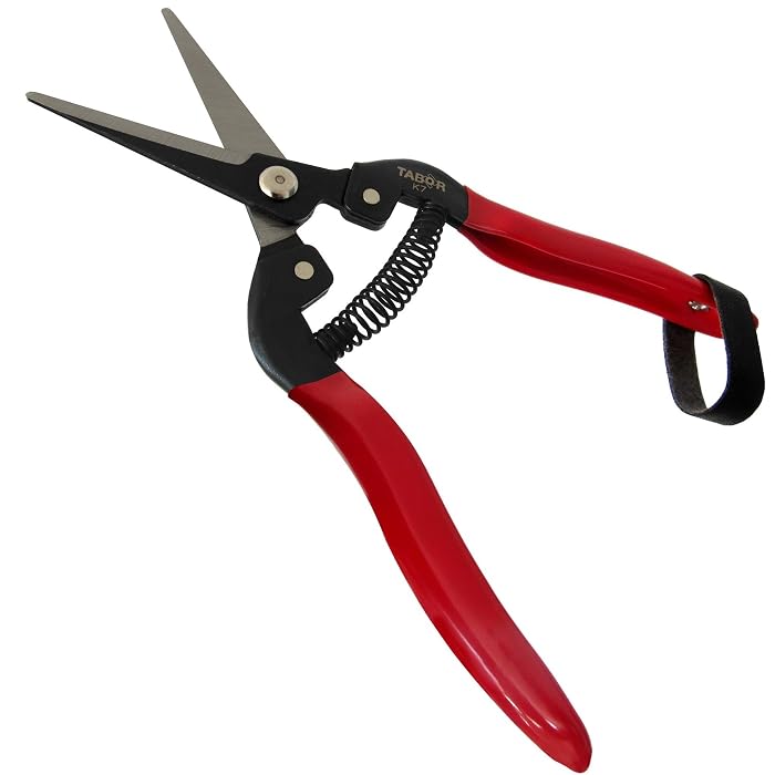 TabAor Professional Pruning Shears