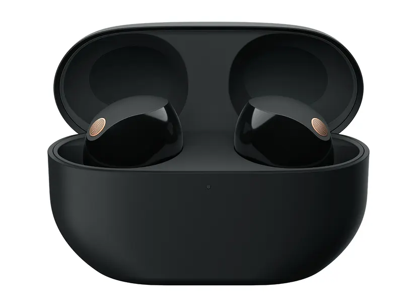 Sony WF-1000XM5 Wireless Earbuds