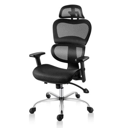 Smugdesk Ergonomic Office Chair