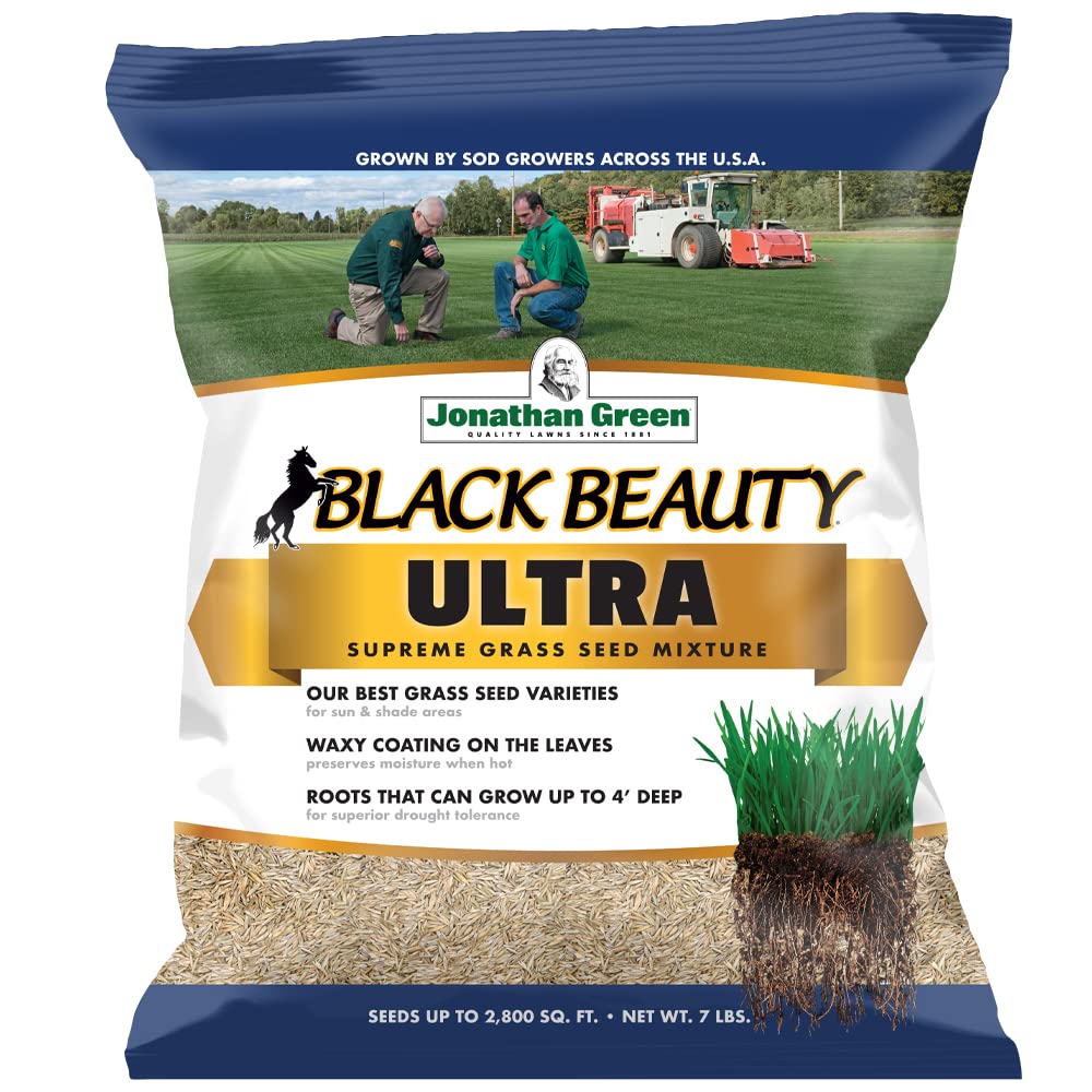 Jonathan Green Black Beauty Seed