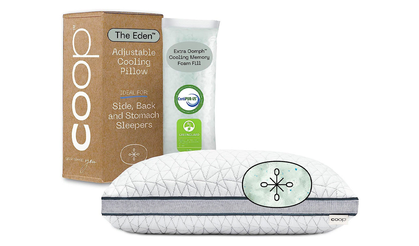 Coop Home Goods Eden Pillow