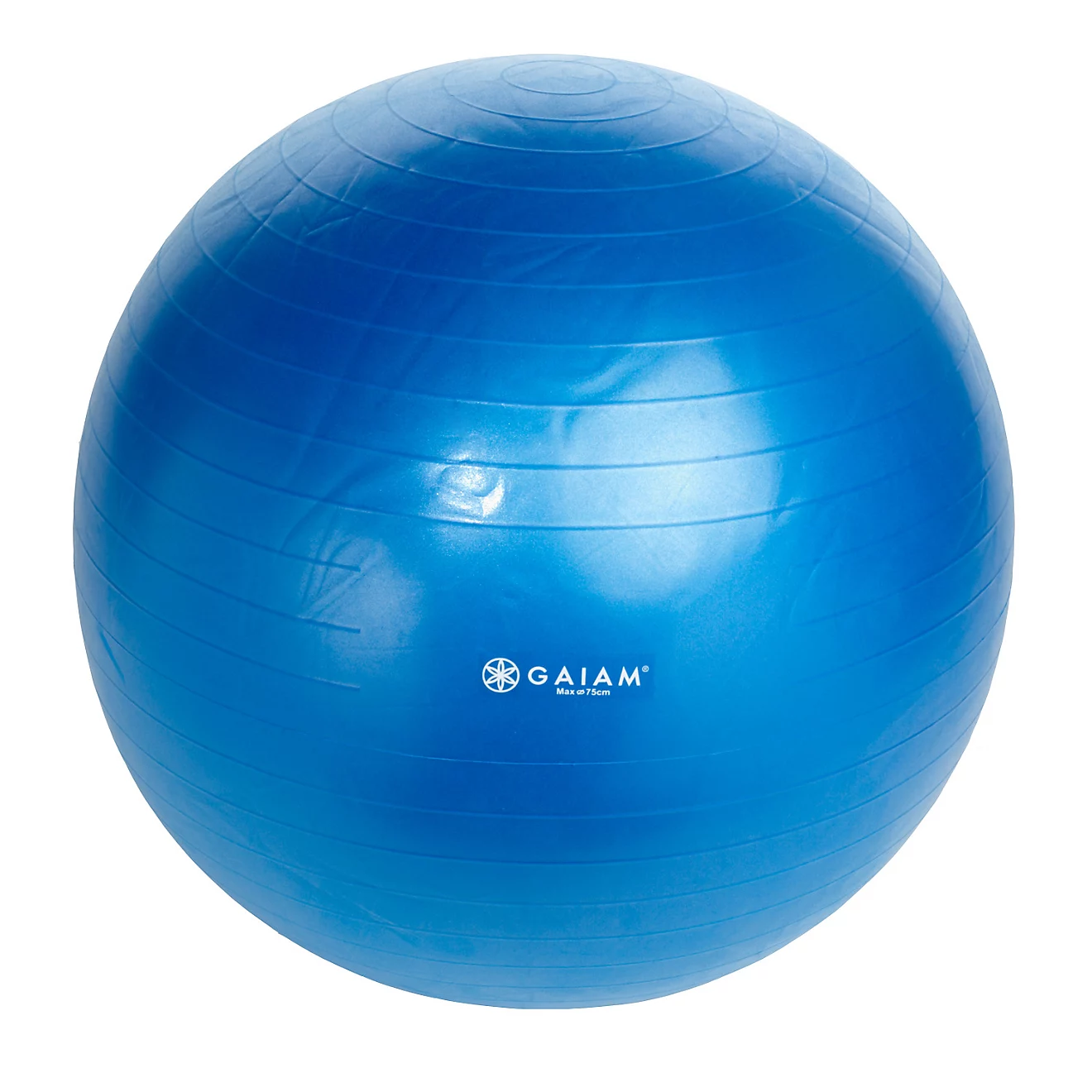 Gaiam Total Body Balance Ball Kit