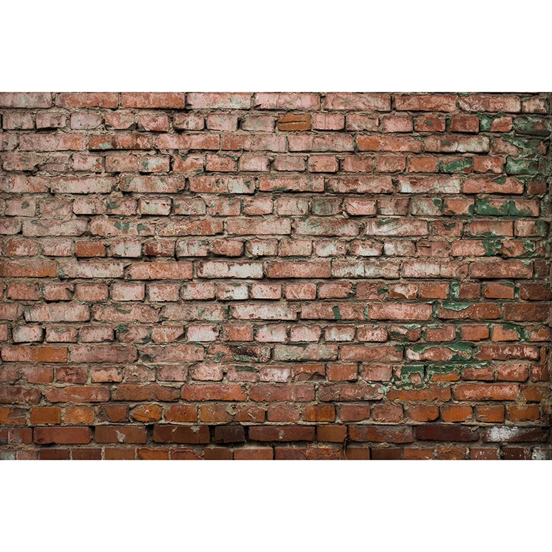 Chasing Paper Removable Brick Wall Mural